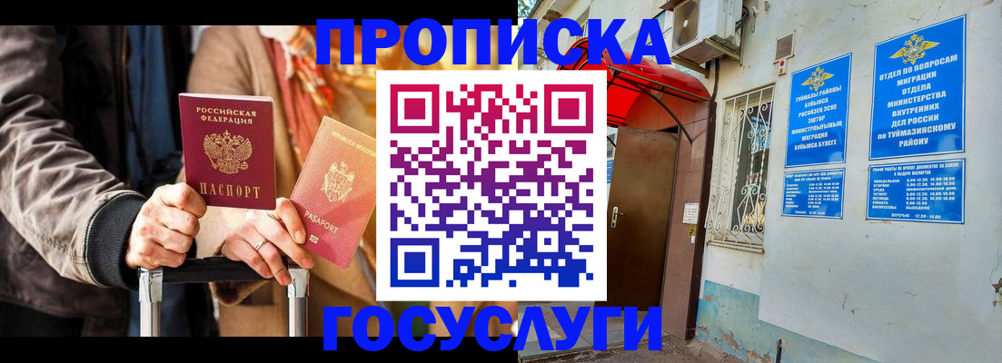 прописка гарантия в Сертолово